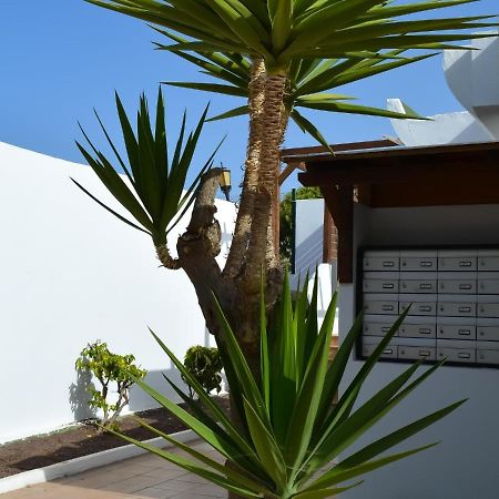 Apartamento Dunasol 341 Corralejo Exterior foto